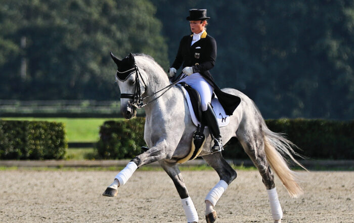 Isabell Werth dressage