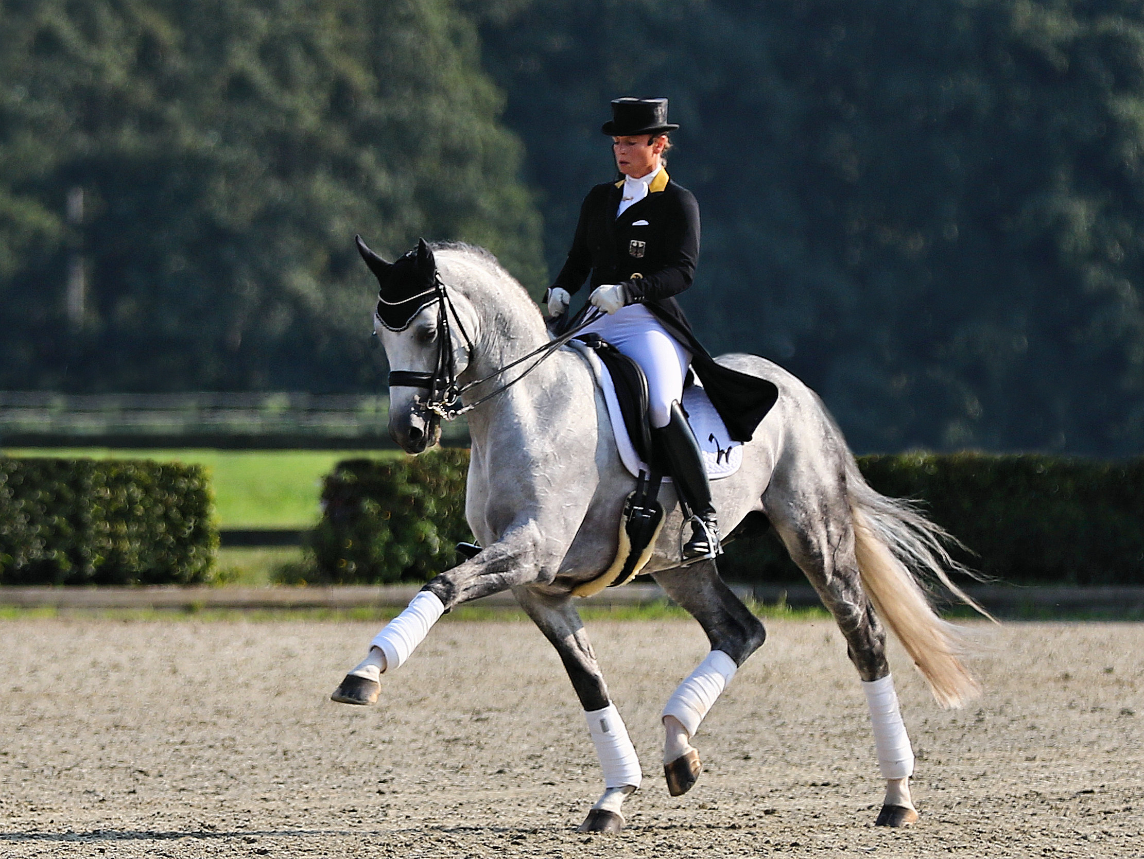 Isabell Werth dressage