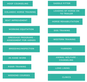 Possibilities with Ridesum